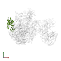 DNA-directed RNA polymerases I, II, and III subunit RPABC1 in PDB entry 5w64, assembly 1, front view.