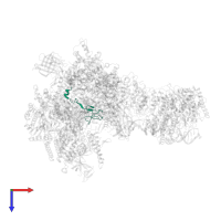 DNA-directed RNA polymerase I subunit RPA12 in PDB entry 5w64, assembly 1, top view.