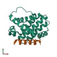 PDB entry 5w8f coloured by chain, front view.