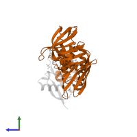ORF1ab protein in PDB entry 5w8t, assembly 2, side view.