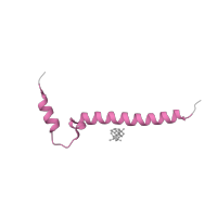 The deposited structure of PDB entry 5wau contains 2 copies of Pfam domain PF02238 (Cytochrome c oxidase subunit VII) in Cytochrome c oxidase subunit 7A1, mitochondrial. Showing 1 copy in chain J.