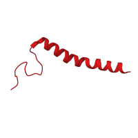 The deposited structure of PDB entry 5wau contains 2 copies of CATH domain 4.10.49.10 (Cytochrome C Oxidase; Chain L) in Cytochrome c oxidase subunit 7C, mitochondrial. Showing 1 copy in chain L.