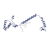 The deposited structure of PDB entry 5wau contains 2 copies of CATH domain 1.10.442.10 (Cytochrome C Oxidase; Chain D) in Cytochrome c oxidase subunit 4 isoform 1, mitochondrial. Showing 1 copy in chain D.