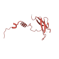 The deposited structure of PDB entry 5wau contains 2 copies of Pfam domain PF01215 (Cytochrome c oxidase subunit Vb) in Cytochrome c oxidase subunit 5B, mitochondrial. Showing 1 copy in chain F.