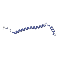 The deposited structure of PDB entry 5wau contains 2 copies of Pfam domain PF02937 (Cytochrome c oxidase subunit VIc) in Cytochrome c oxidase subunit 6C. Showing 1 copy in chain I.
