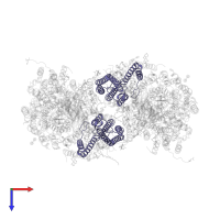 Cytochrome c oxidase subunit 3 in PDB entry 5wau, assembly 1, top view.