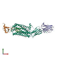 PDB entry 5wb2 coloured by chain, front view.