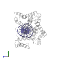 DNA (5'-D(*CP*CP*GP*AP*AP*TP*GP*AP*AP*TP*GP*AP*AP*TP*GP*AP*AP*TP*GP*GP*T)-3') in PDB entry 5wc9, assembly 1, side view.