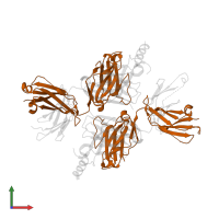 FA10E8v4-5R+100cF FAB light chain in PDB entry 5wdf, assembly 1, front view.