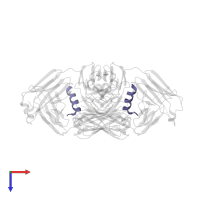 Transmembrane protein gp41 in PDB entry 5wdf, assembly 1, top view.