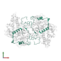 Myeloperoxidase light chain in PDB entry 5wdj, assembly 1, front view.