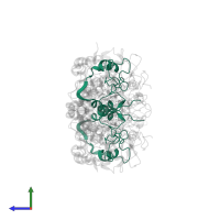 Myeloperoxidase light chain in PDB entry 5wdj, assembly 1, side view.