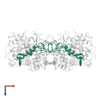 Myeloperoxidase light chain in PDB entry 5wdj, assembly 1, top view.