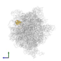 Small ribosomal subunit protein uS11 in PDB entry 5we6, assembly 1, side view.