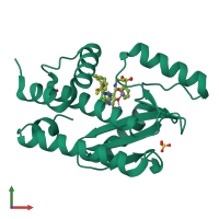 PDB entry 5web coloured by chain, front view.