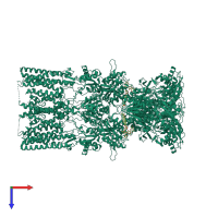 Homo tetrameric assembly 1 of PDB entry 5wen coloured by chemically distinct molecules, top view.