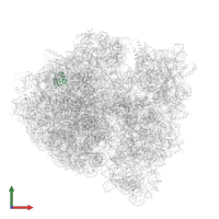 Large ribosomal subunit protein uL30 in PDB entry 5wf0, assembly 1, front view.