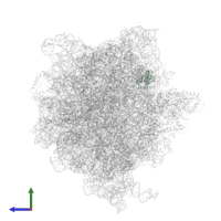 Large ribosomal subunit protein uL30 in PDB entry 5wf0, assembly 1, side view.