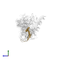 Integration host factor subunit alpha in PDB entry 5wfe, assembly 1, side view.