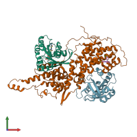 PDB entry 5wfp coloured by chain, front view.