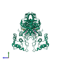 Homo dimeric assembly 1 of PDB entry 5wkk coloured by chemically distinct molecules, side view.