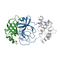The deposited structure of PDB entry 5wkl contains 2 copies of CATH domain 2.40.10.10 (Thrombin, subunit H) in 3C-like proteinase nsp5. Showing 2 copies in chain A.