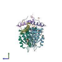 PDB entry 5wlb coloured by chain, side view.