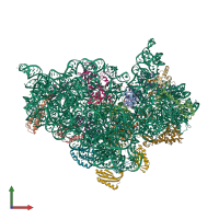 PDB entry 5wnt coloured by chain, front view.