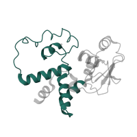 The deposited structure of PDB entry 5wnu contains 1 copy of Pfam domain PF00163 (Ribosomal protein S4/S9 N-terminal domain) in Small ribosomal subunit protein uS4. Showing 1 copy in chain D.