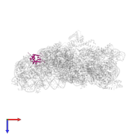 Small ribosomal subunit protein bS16 in PDB entry 5wnu, assembly 1, top view.