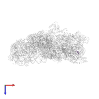 Small ribosomal subunit protein bTHX in PDB entry 5wnu, assembly 1, top view.