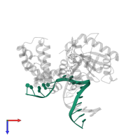 DNA (5'-D(*CP*CP*GP*AP*CP*CP*GP*CP*GP*CP*AP*TP*CP*AP*GP*C)-3') in PDB entry 5wnx, assembly 1, top view.