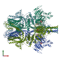 PDB entry 5wp6 coloured by chain, front view.