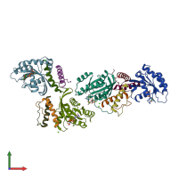 PDB entry 5wpl coloured by chain, front view.