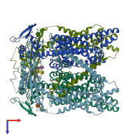 PDB entry 5wpt coloured by chain, top view.