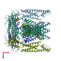 PDB entry 5wpv coloured by chain, top view.