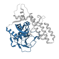 The deposited structure of PDB entry 5wry contains 2 copies of Pfam domain PF00644 (Poly(ADP-ribose) polymerase catalytic domain) in Poly [ADP-ribose] polymerase 1, processed C-terminus. Showing 1 copy in chain B.