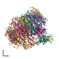 Hetero 20-meric assembly 1 of PDB entry 5ws6 coloured by chemically distinct molecules, front view.