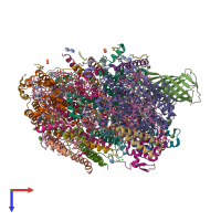 Hetero 20-meric assembly 1 of PDB entry 5ws6 coloured by chemically distinct molecules, top view.