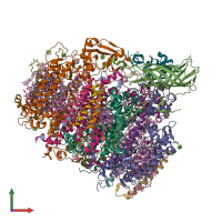 Hetero 19-meric assembly 2 of PDB entry 5ws6 coloured by chemically distinct molecules, front view.