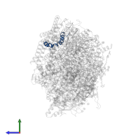 Photosystem II reaction center protein K in PDB entry 5ws6, assembly 1, side view.