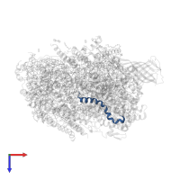 Photosystem II reaction center protein K in PDB entry 5ws6, assembly 1, top view.