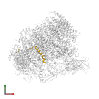 Photosystem II reaction center protein L in PDB entry 5ws6, assembly 1, front view.