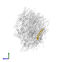 Photosystem II reaction center protein L in PDB entry 5ws6, assembly 1, side view.