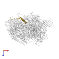 Photosystem II reaction center protein L in PDB entry 5ws6, assembly 1, top view.