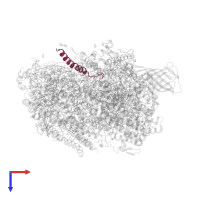 Photosystem II reaction center protein M in PDB entry 5ws6, assembly 1, top view.