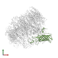 Photosystem II manganese-stabilizing polypeptide in PDB entry 5ws6, assembly 1, front view.