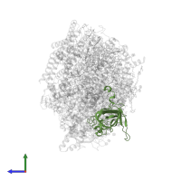 Photosystem II manganese-stabilizing polypeptide in PDB entry 5ws6, assembly 1, side view.