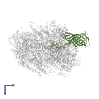 Photosystem II manganese-stabilizing polypeptide in PDB entry 5ws6, assembly 1, top view.