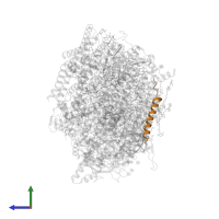 Photosystem II reaction center protein T in PDB entry 5ws6, assembly 1, side view.